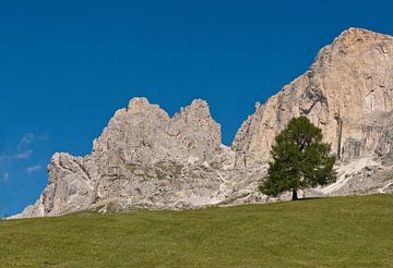 Arbre solitaire dans les Dolomites sur Rene van der Meer