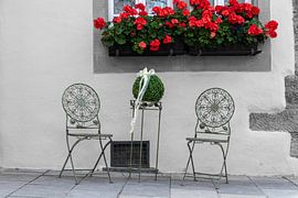 Nature morte sur MiNeun-Fotografie