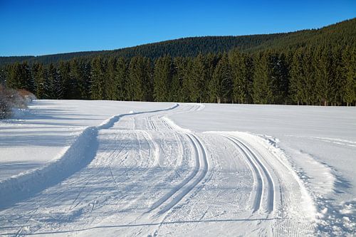 Winterlandschap