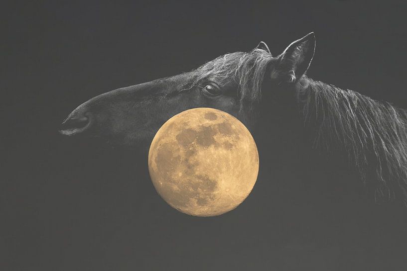 Pferd im Schatten mit Vollmond in der Stille von Femke Ketelaar
