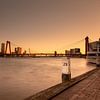Drie Rotterdamse bruggen tijdens het gouden uur van Yvonne van Leeuwen