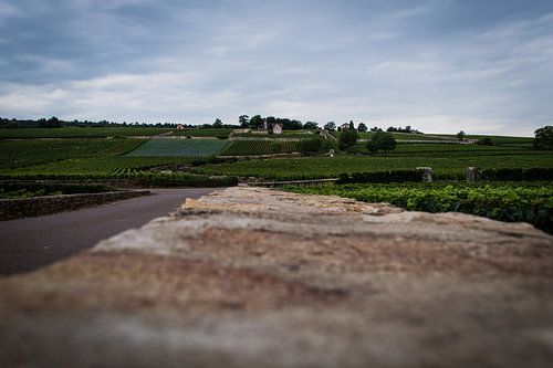 The wall to the vineyard