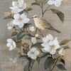 Oiseau parmi les fleurs blanches sur une peinture sur toile sur But First Framing