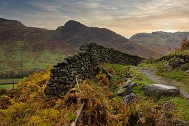 Langdale Valley Cumbria - Wand von Hans Janssen