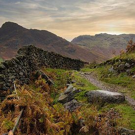 Langdale Valley Cumbria - wall van Hans Janssen