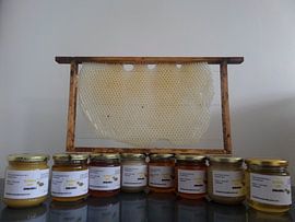 Imkerij Bumble-bee von Cedric Sprockel