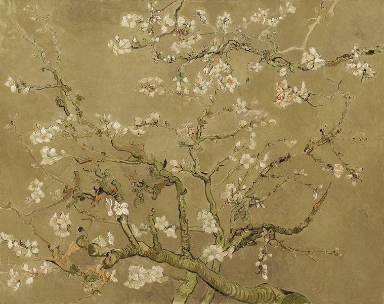 Mandelblüte von Vincent van Gogh (Khaki) von Masters Revisited