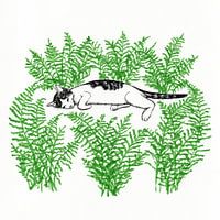 Kat tussen de Varens