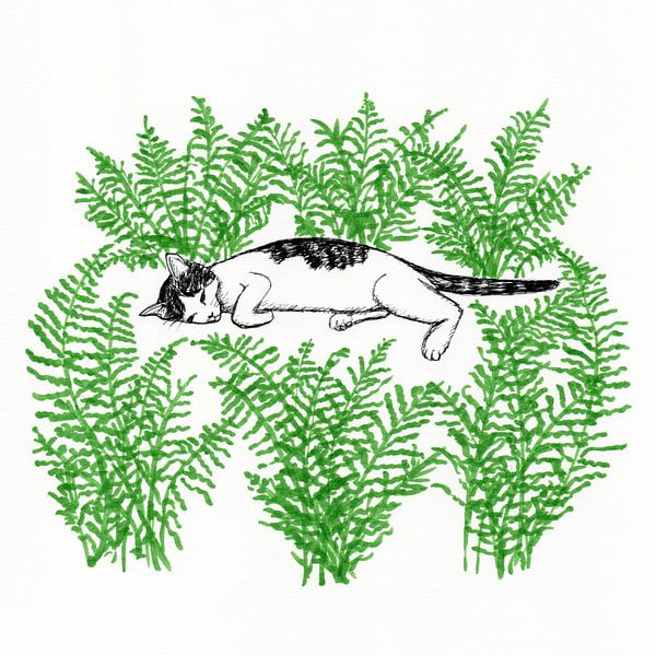 Cat amongst the Ferns by Karolina Grenczyk