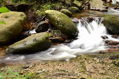 De rivier de Ilse in het Harz Nationaal Park