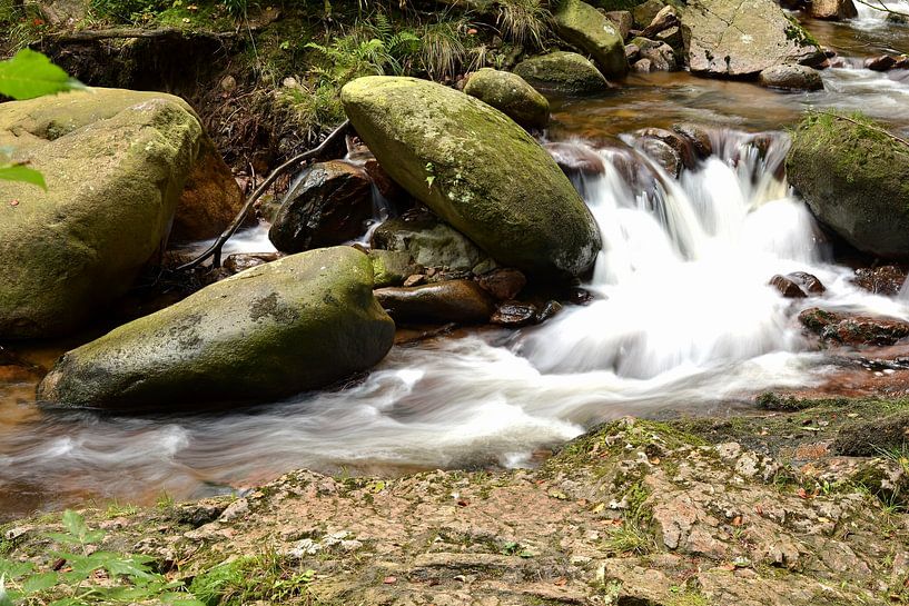The river Ilse in the Harz National Park by Heiko Kueverling