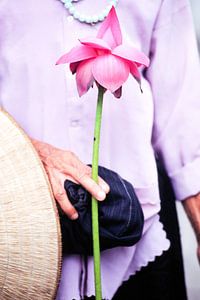 Lotusblume Vietnam von Tessa Jol Photography