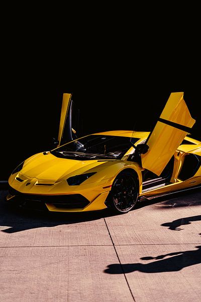 Super Cars by Hello Pompoyo