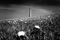Leuchtturm (schwarz-weiß) von Rob Blok Miniaturansicht
