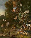 Vögel, Schmetterlinge und ein Frosch unter Pflanzen und Pilzen, Melchior d'Hondecoeter von Meesterlijcke Meesters Miniaturansicht