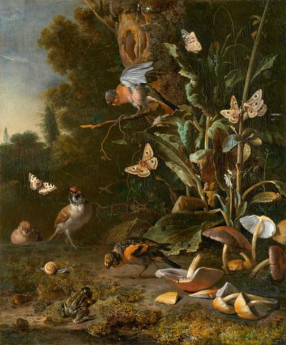 Vogels, vlinders en een kikker onder planten en schimmels, Melchior d'Hondecoeter