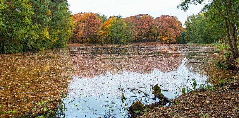 Herbst von Joep Deumes