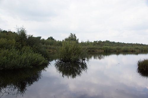 Mooi natuur gebied