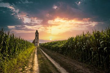 Pusztatorony aan het Balatonmeer Kerk of ruïne in het midden van een korenveld bij zonsondergang van Fotos by Jan Wehnert