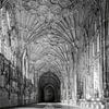 Kathedrale von Gloucester, Großbritannien von Rietje Bulthuis