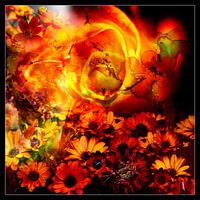 BLUMENBEET IN ORANGE