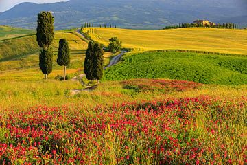 Val d'Orcia, Toscane, Italie sur Henk Meijer Photography