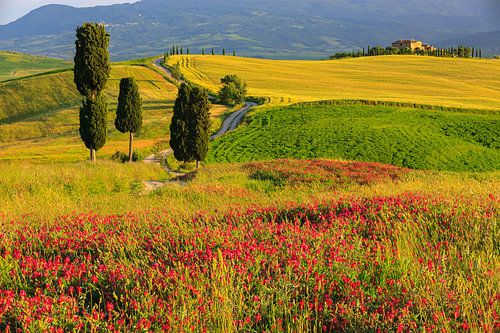 Val d'Orcia, Toscane, Italië