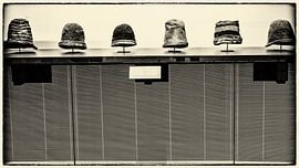 Walvisvaarders van Annelies Martinot