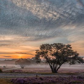 Frühmorgens von Herman de Raaf