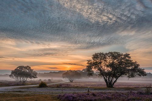 Early in the morning by Herman de Raaf