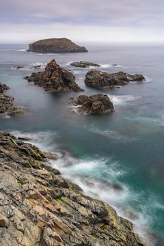 Côte sauvage de Terre-Neuve