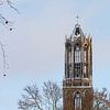 Der schneebedeckte Dom von Utrecht vom Moreelsepark aus. (Landschaft) von André Blom Fotografie Utrecht
