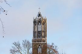 Utrecht's snow-covered Dom tower from Moreelsepark. (landscape)