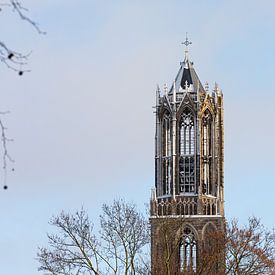 Der schneebedeckte Dom von Utrecht vom Moreelsepark aus. (Landschaft) von André Blom Fotografie Utrecht