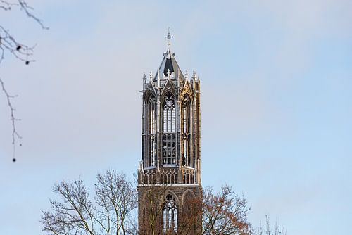 Der schneebedeckte Dom von Utrecht vom Moreelsepark aus. (Landschaft) von André Blom Fotografie Utrecht