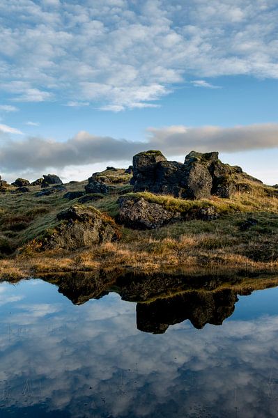 Lavaveld en reflectie by René Wolters