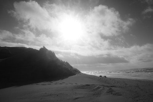 Tegen licht over de duinen.