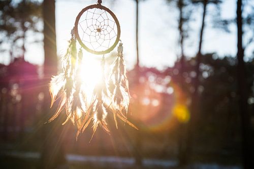 Dromenvanger bij zonsondergang van Marjolijn Barten