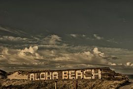 Zealand holiday country3 by anne droogsma