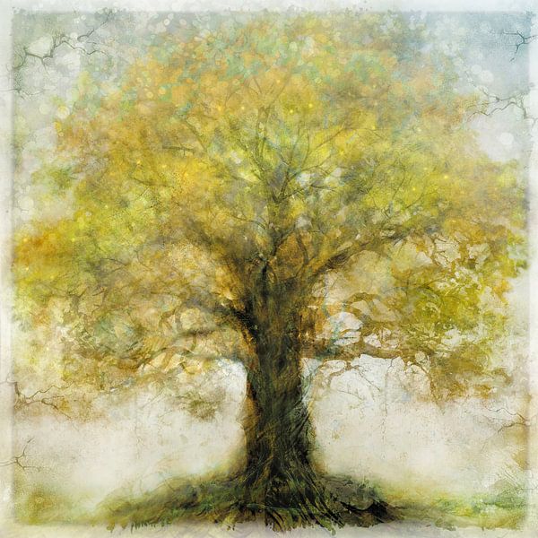 Oak by Joan Engels