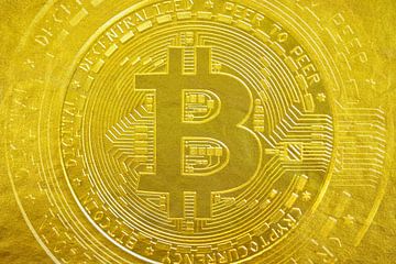 De Gouden Bitcoin van Martin Bergsma