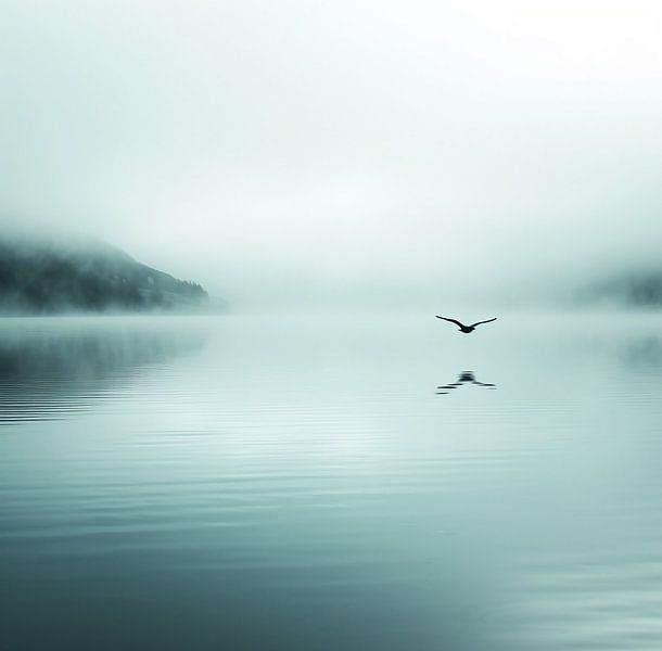 Esthetisch minimalisme van fernlichtsicht