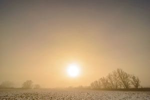 IJssel-Winterlandschaft mit Schnee und Nebel von Sjoerd van der Wal Fotografie