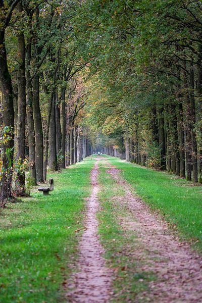 Endless by Dave De Klerk