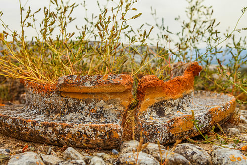 Gras groeit in een oude pot in Griekenland