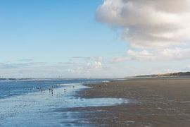 The Ameland beach by Yorrit v.d.Kaa