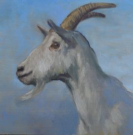 Goat by Stephanie van der Klooster
