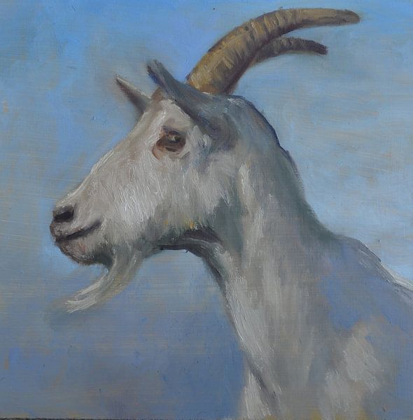 Ziege von Stephanie van der Klooster