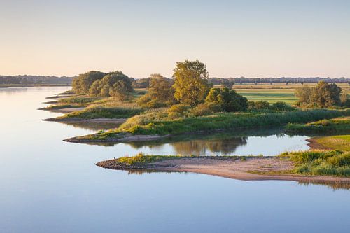 Uiterwaard Elbe