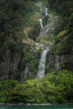 Grote waterval Milford Sound kust Nieuw Zeeland. Jungle. van Albert Brunsting